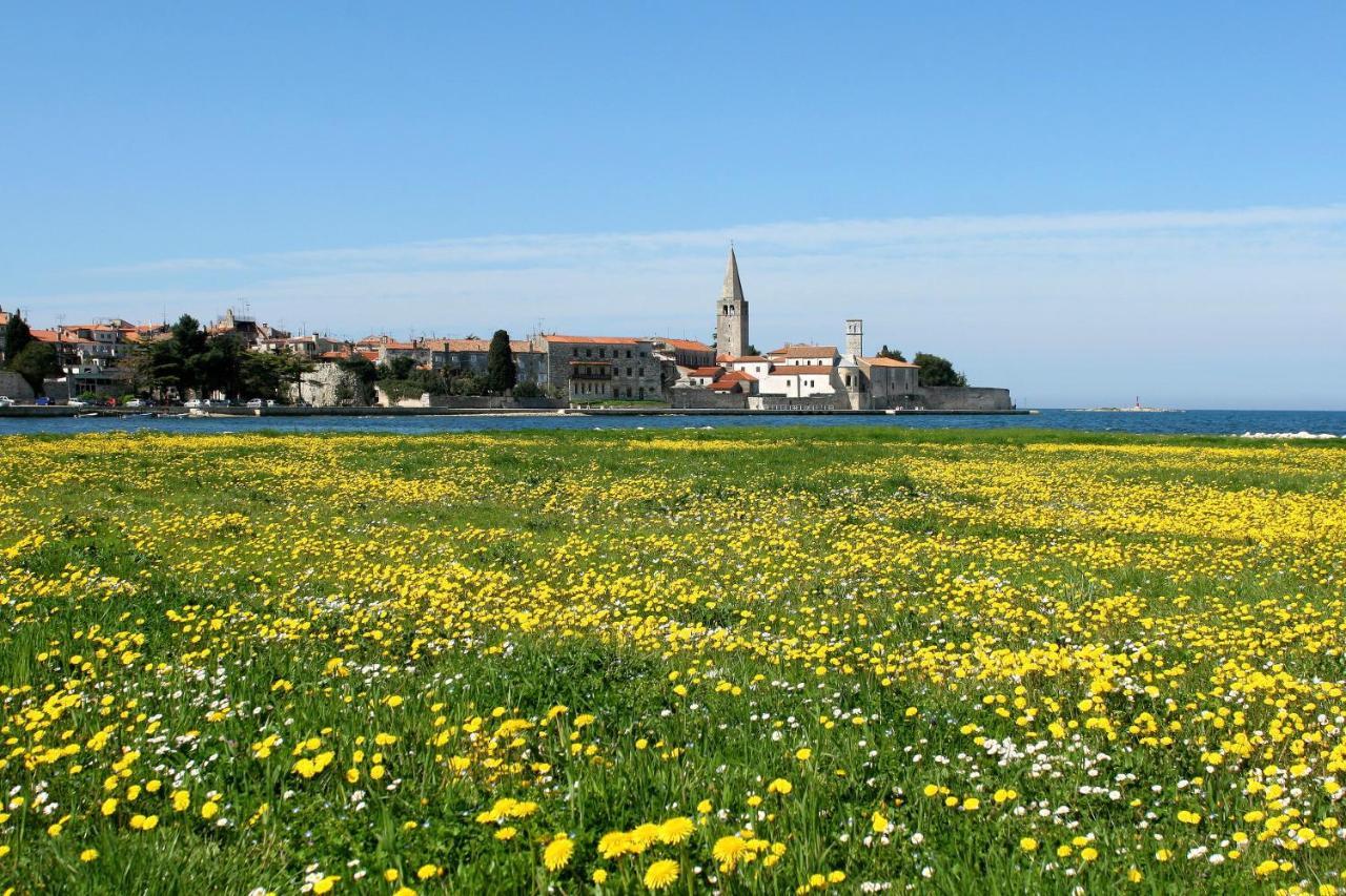 Villa Vita In Porec - Haus Fuer 6-8 Personen Kaštelir Zewnętrze zdjęcie